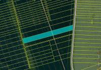 120 EX 2959/24-224 pod&iacute;l 1/8 pozemku v k.&uacute;. Uhřice u Kyjova, okres Hodon&iacute;n