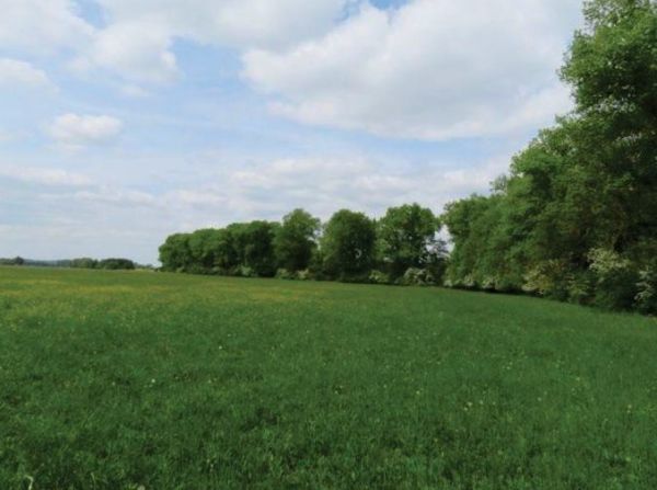 120 EX 6015/11-290 pod&iacute;l 1/2 pozemků v k.&uacute;. Chotělice, okres Hradec Kr&aacute;lov&eacute;