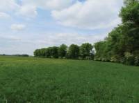 120 EX 6015/11-290 pod&iacute;l 1/2 pozemků v k.&uacute;. Chotělice, okres Hradec Kr&aacute;lov&eacute;